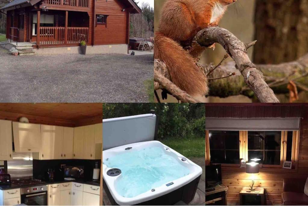 Red Squirrel Log Cabin With Hot Tub Keith Eksteriør bilde